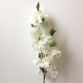 Blossom