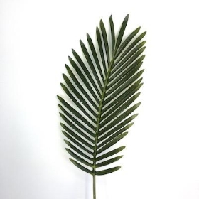 Other Foliage