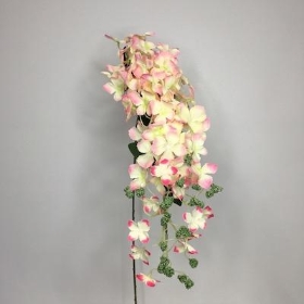 Trailing Flowers