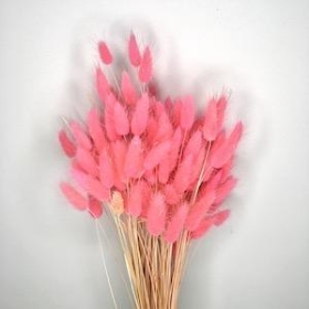 Dried Flowers And Foliage