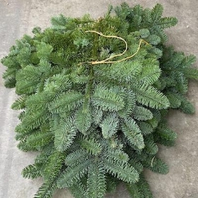 Fresh Foliage