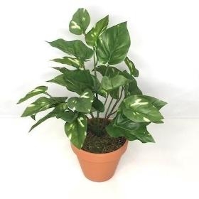 Artificial Plants