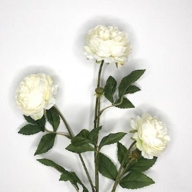 Ivory Ranunculus Spray 68cm