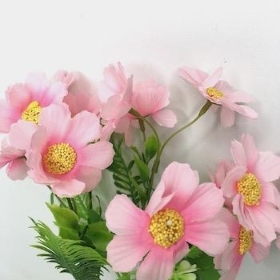 Light Pink Cosmos Bush 31cm