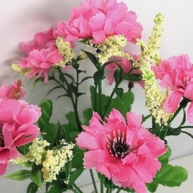 Pink Scabious Bush 27cm