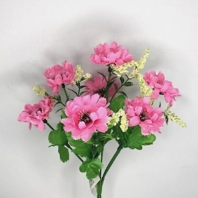 Pink Scabious Bush 27cm