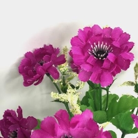 Purple Scabious Bush 27cm