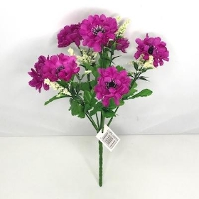 Purple Scabious Bush 27cm