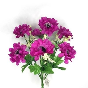 Purple Scabious Bush 27cm