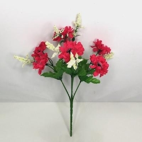Cerise Scabious Bush 27cm