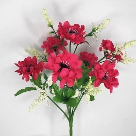 Cerise Scabious Bush 27cm