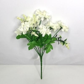 Ivory Scabious Bush 27cm