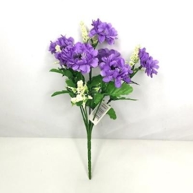 Lilac Scabious Bush 27cm