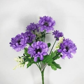 Lilac Scabious Bush 27cm