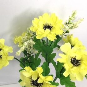 Yellow Scabious Bush 27cm
