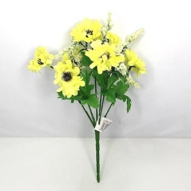 Yellow Scabious Bush 27cm