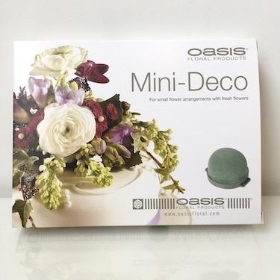 Oasis Mini Deco x 12