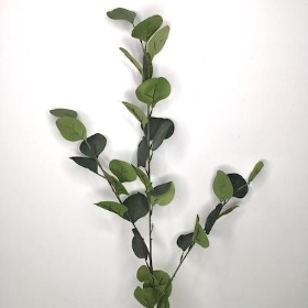 Dark Green Eucalyptus 75cm