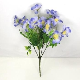 48 x Assorted Cosmos Bush 31cm