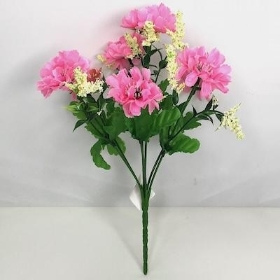 36 x Assorted Scabious Bush 27cm