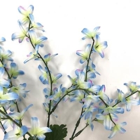 Blue Forsythia Bush 40cm