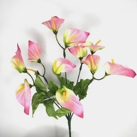 Pink Calla Lily Bush 34cm