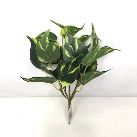 Green Philodendron Bush 27cm