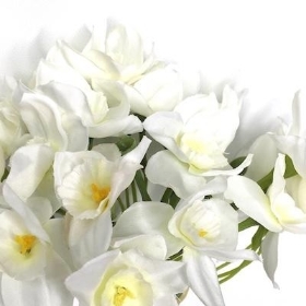 White Daffodil Bundle 55cm