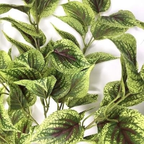 Light Green Sebastian Leaf Spray 86cm