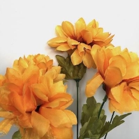 Mustard Ball Mum Bush 37cm