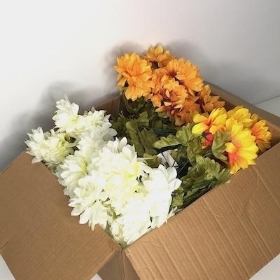 48 x Assorted Chrysanthemum Bush 32cm