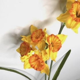 Yellow Orange Daffodil Spray 63cm