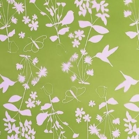 Lime Green Harper Cellophane 60m