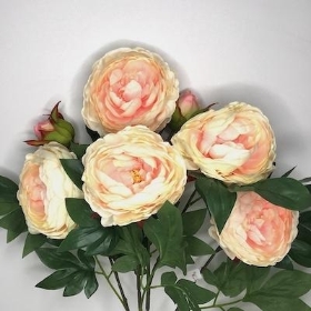Blush Pink Peony Bush 62cm