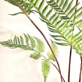 Green Tree Fern 150cm
