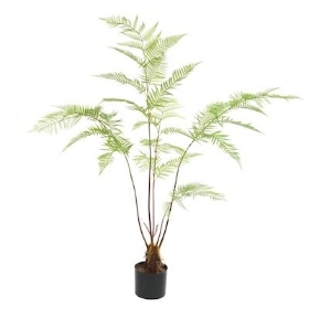 Green Tree Fern 150cm