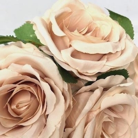 Champagne Rose Bundle 28cm