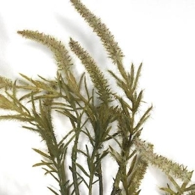 Brown Green Flocked Veronica 98cm