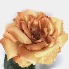 Honey Garden Rose 61cm