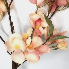 Coral Blush Blossom 64cm