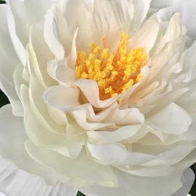 White Open Peony 49cm