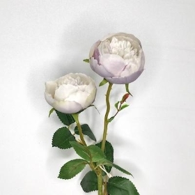 Dusky Lilac Ranunculus 46cm