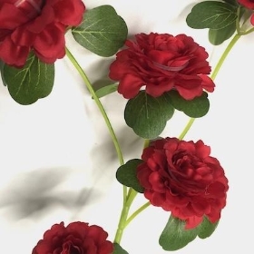 Red Ranunculus Spray 71cm