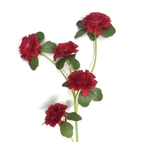 Red Ranunculus Spray 71cm