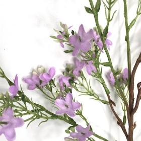 Lilac Waxflower Spray 86cm