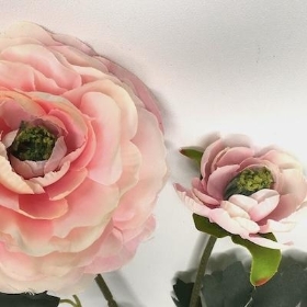 Light Pink Ranunculus 48cm