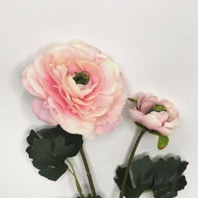 Light Pink Ranunculus 48cm