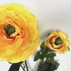 Yellow Ranunculus 48cm