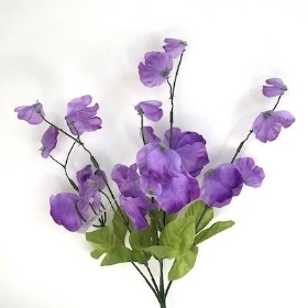 Purple Sweetpea Bush 36cm