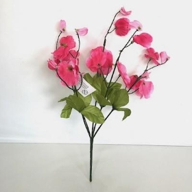 Cerise Sweetpea Bush 36cm
